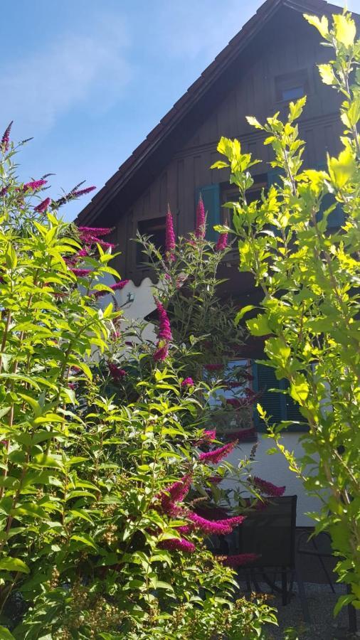 Chill&Sleep Bad Ischl Apartment Luaran gambar