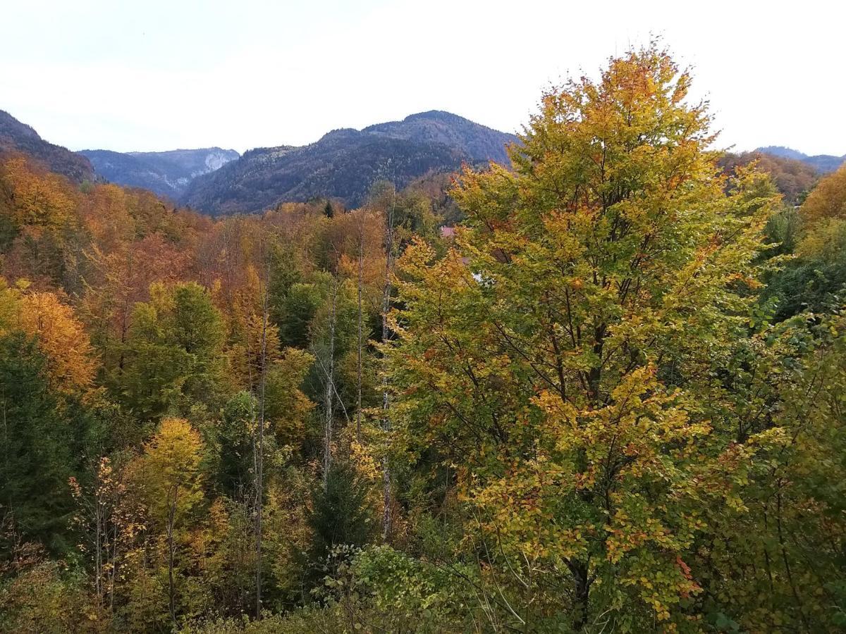 Chill&Sleep Bad Ischl Apartment Luaran gambar