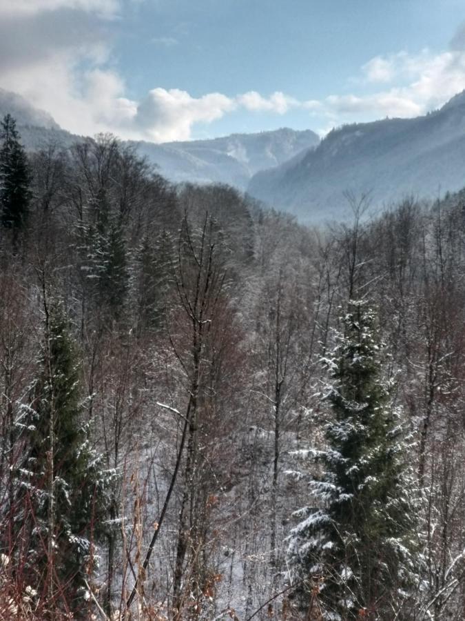 Chill&Sleep Bad Ischl Apartment Luaran gambar