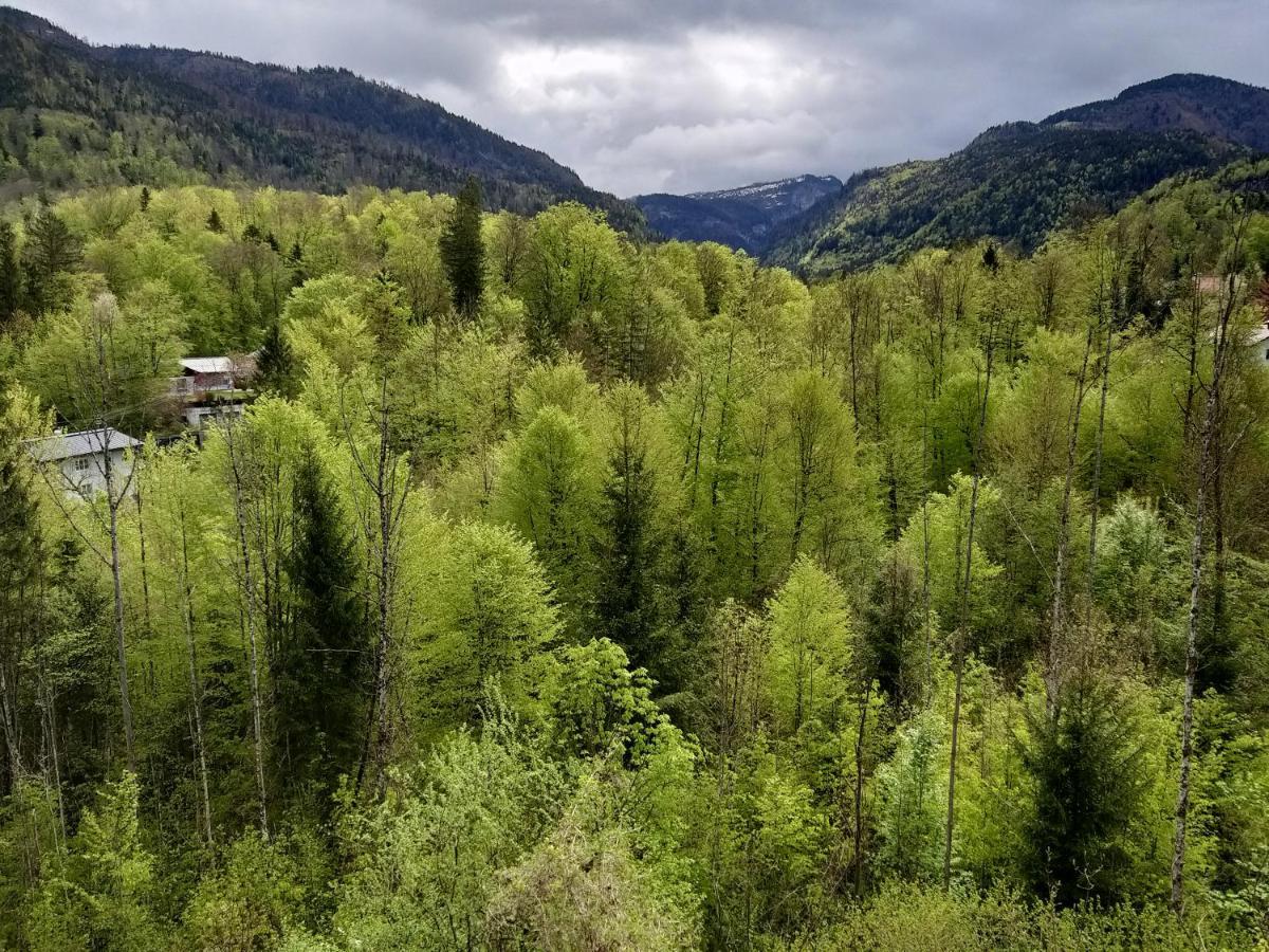Chill&Sleep Bad Ischl Apartment Luaran gambar