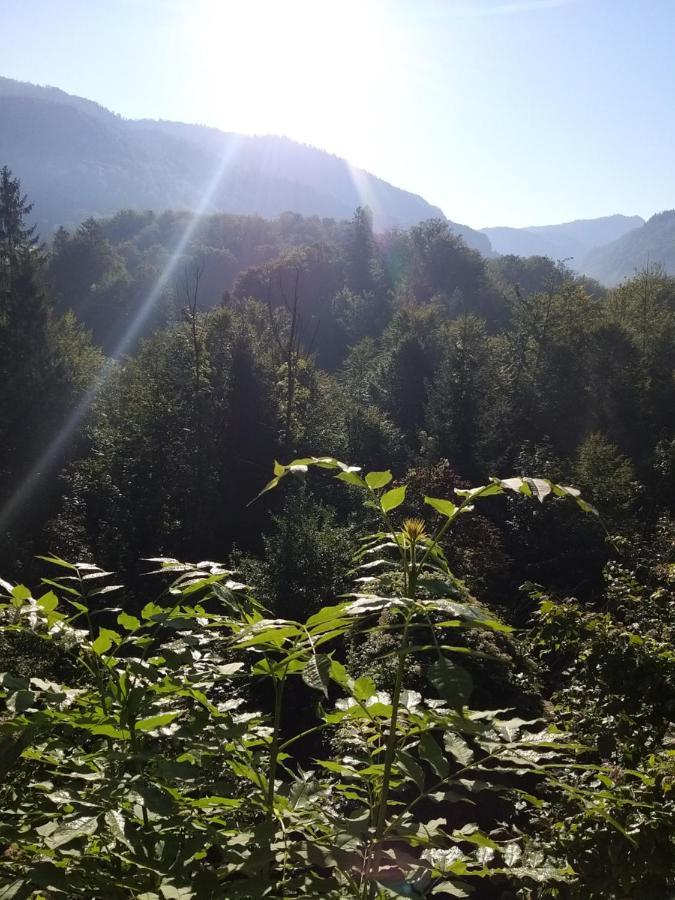 Chill&Sleep Bad Ischl Apartment Luaran gambar
