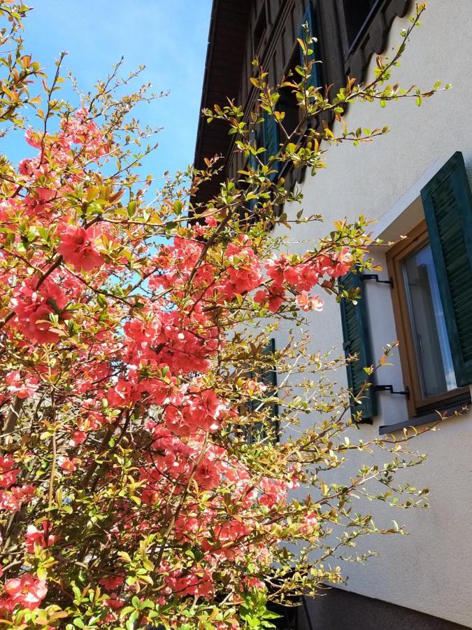Chill&Sleep Bad Ischl Apartment Luaran gambar